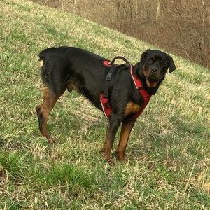 Meet your Posher, Brittany